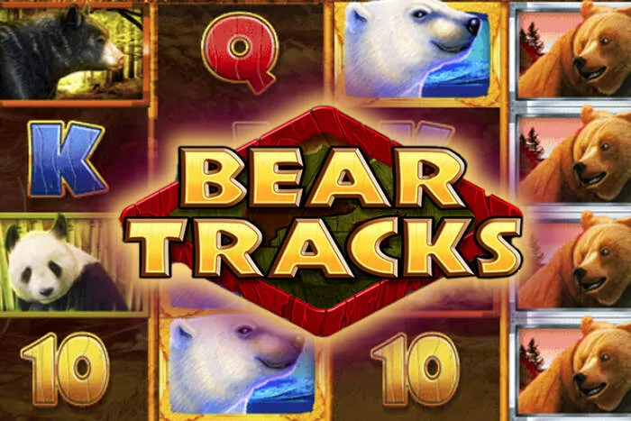 Activez votre Mcluck Casino Bonus Tours Gratuits maintenant.