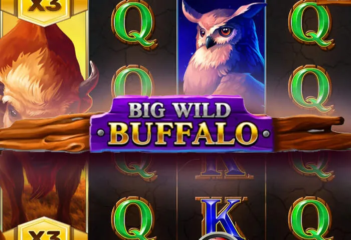 Inizia a giocare Mcluck Giochi da Casinò Senza Deposito facilmente.